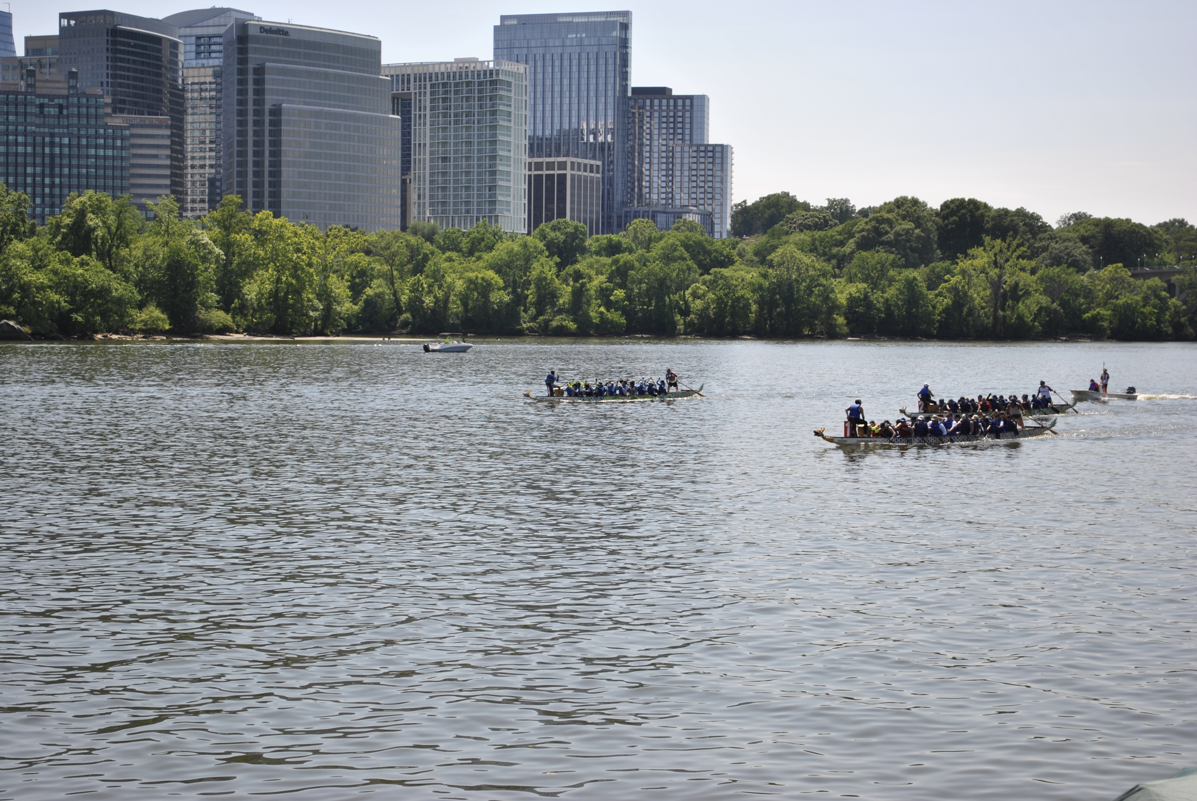 DC Dragon Boat Festival at Georgetown Waterfront Park